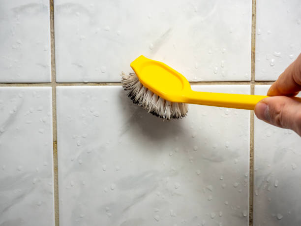 Best Mold Removal Company Near Me  in Southside Place, TX