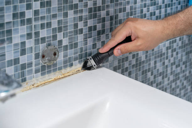 Best Mold Testing  in Southside Place, TX